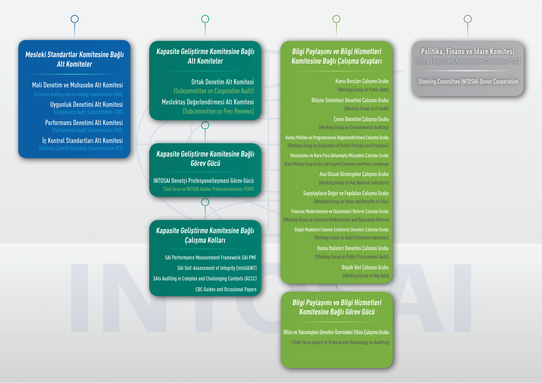 INTOSAI Örgütlenme Şeması