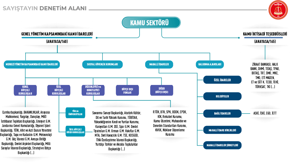 Denetim Alani T C Sayistay Baskanligi