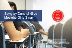 Sayistay_Den_Meslek_Gir.png