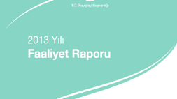 2013faaliyet.png